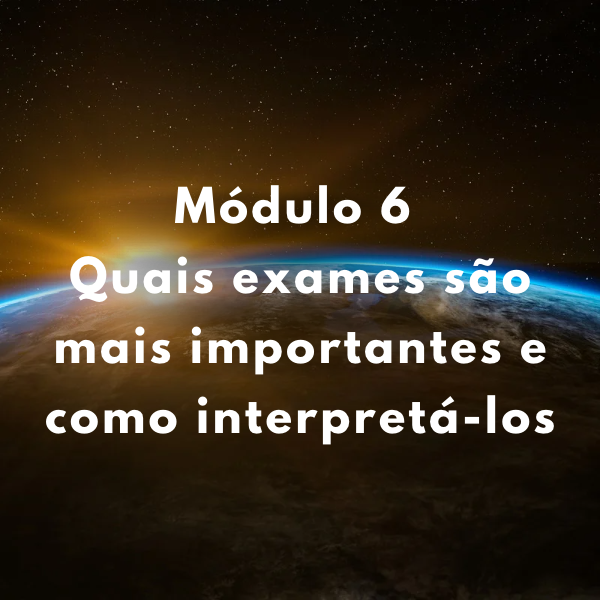 MODULO 6